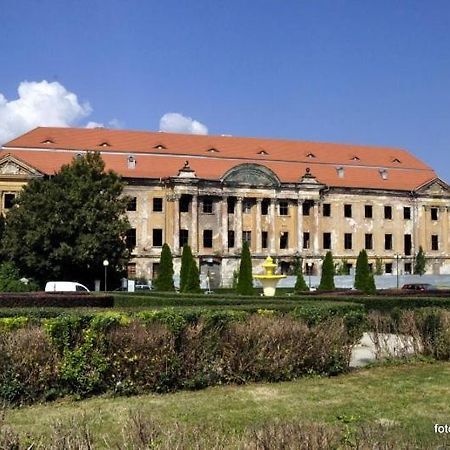 M.S. Piccolo Lägenhet Żary Exteriör bild