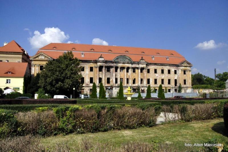 M.S. Piccolo Lägenhet Żary Exteriör bild